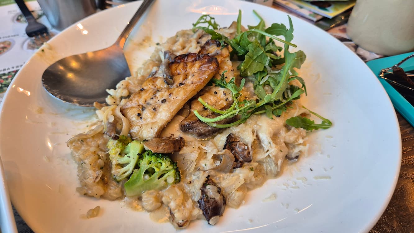 꽃피는 화덕 피자 가게 사진 리조또 사진