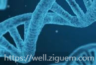 건강검진 병원조회