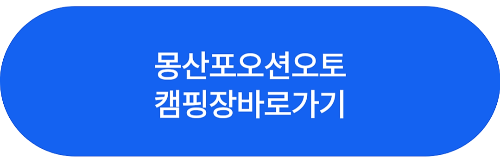 홈페이지버튼