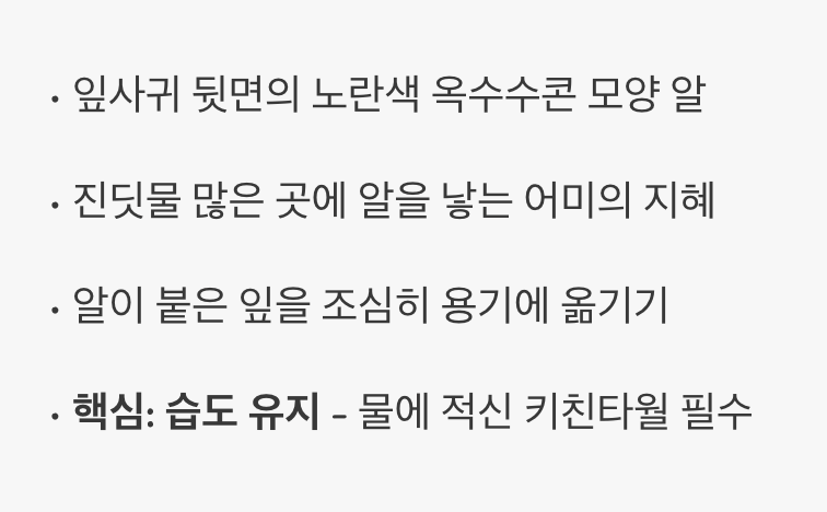 노란 보석&amp;#44; 알에서 시작되는 생명