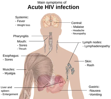 B형 간염 예방 접종