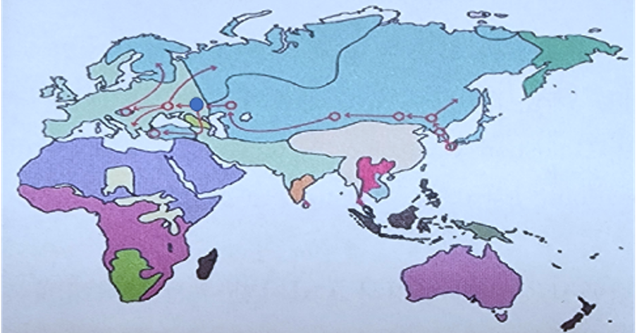 빗살무늬토기 이동경로