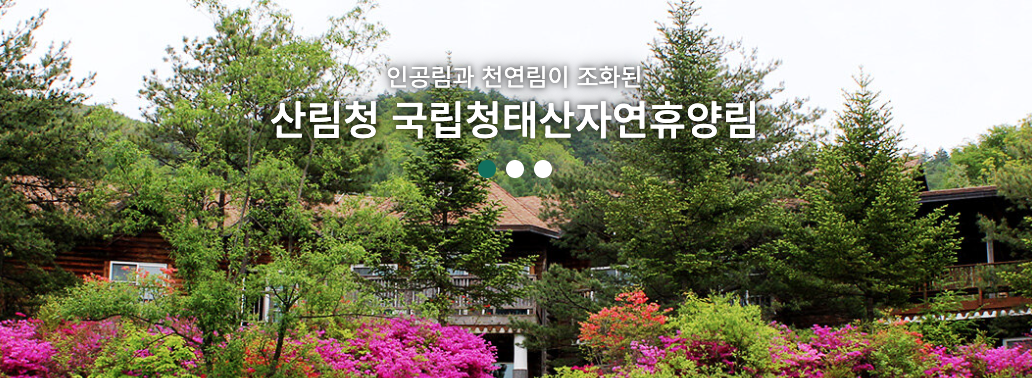 강원도 횡성 청태산 자연휴양림 숙박 시설 요금 예약 지도 날씨 정보