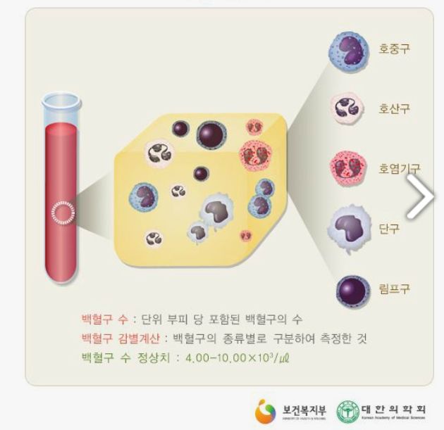 Neutrophil 수치