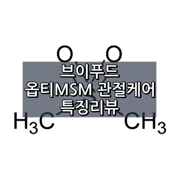 브이푸드 옵티MSM 관절케어 대표이미지