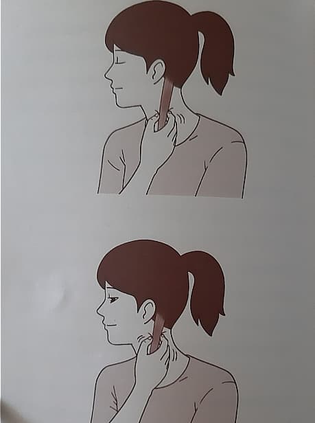 흉쇄유돌근-마사지