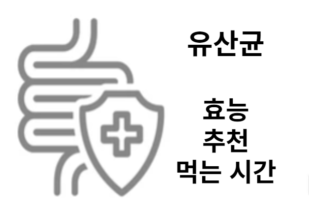 유산균-효능-추천-먹는시간
