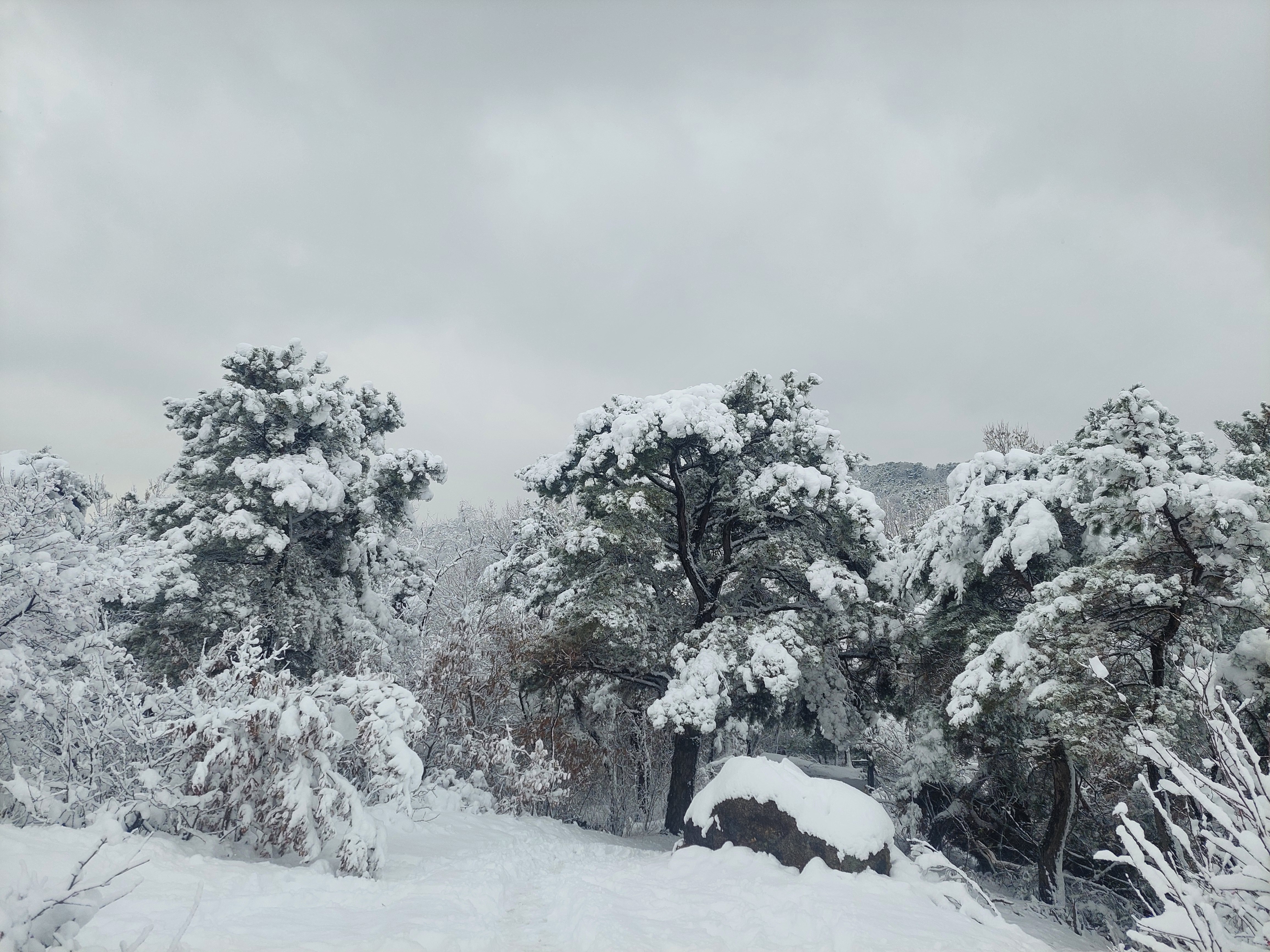 백련산안산