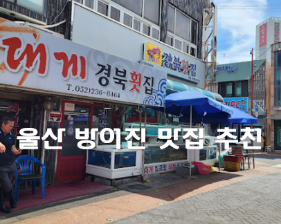 울산 방어진 맛집 경북횟집