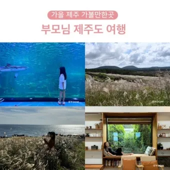 제주 부모님과 여행코스 추천 효도 여행지 완전정리_3