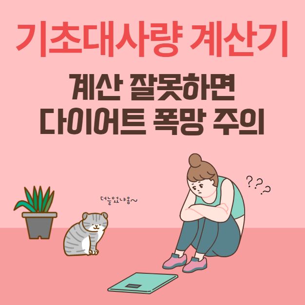 기초대사량 계산기