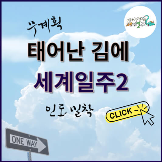 태어난 김에 세계일주2 태계일주2 썸네일