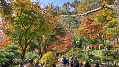 단풍명소_화담숲