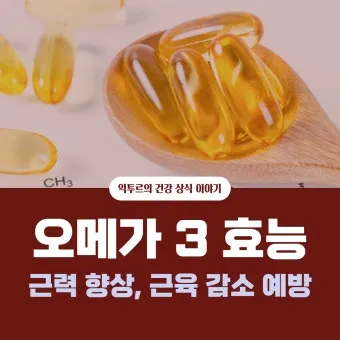 오메가3 효능 부작용 복용법으로_15