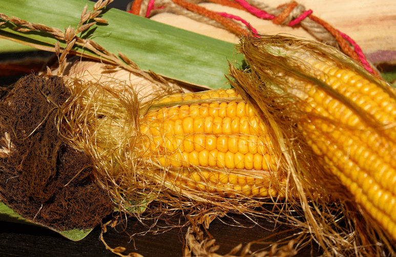 옥수수수염차, 바구니에 담긴 옥수수수염이 달린 옥수수