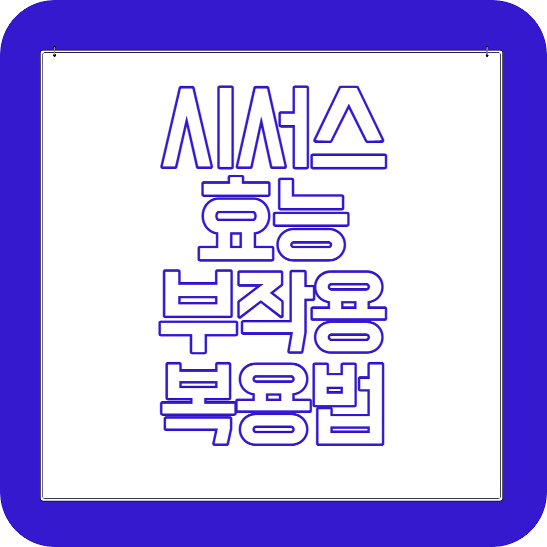 시서스 효능 부작용 복용법