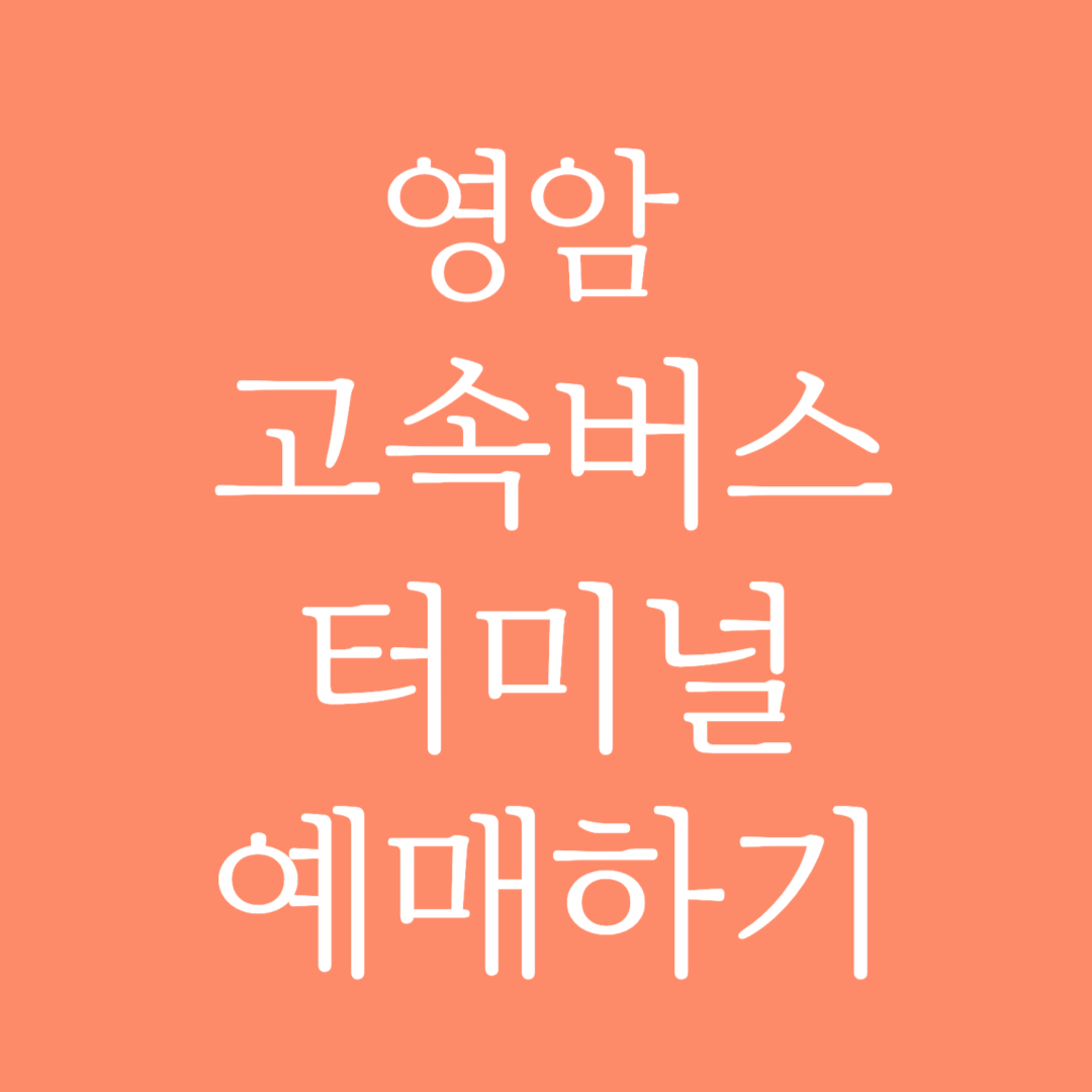 영암 고속버스터미널 시간표 조회 및 예매하기