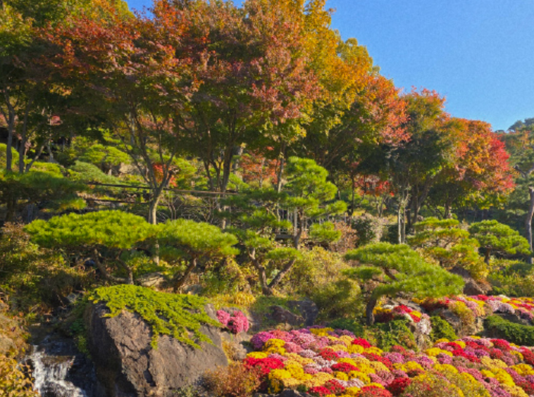 화담숲 당일예약 꿀팁｜당일치기로 다녀온 가을 단풍 명소