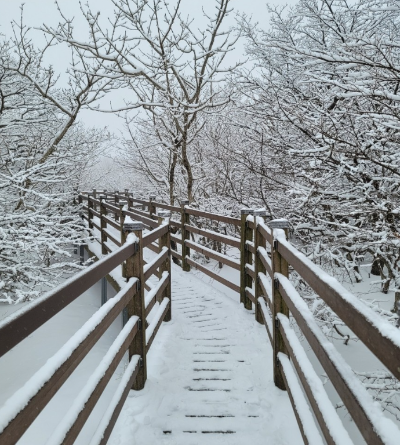 눈-쌓인-산길
