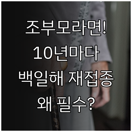 조부모 백일해 재접종 10년마다 필요..