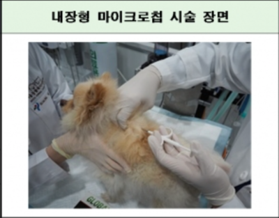 반려견 등록 방법 및 등록지원금 신청방법