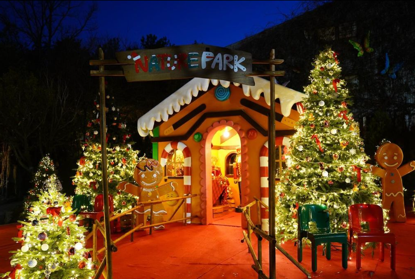 미라클 크리스마스4