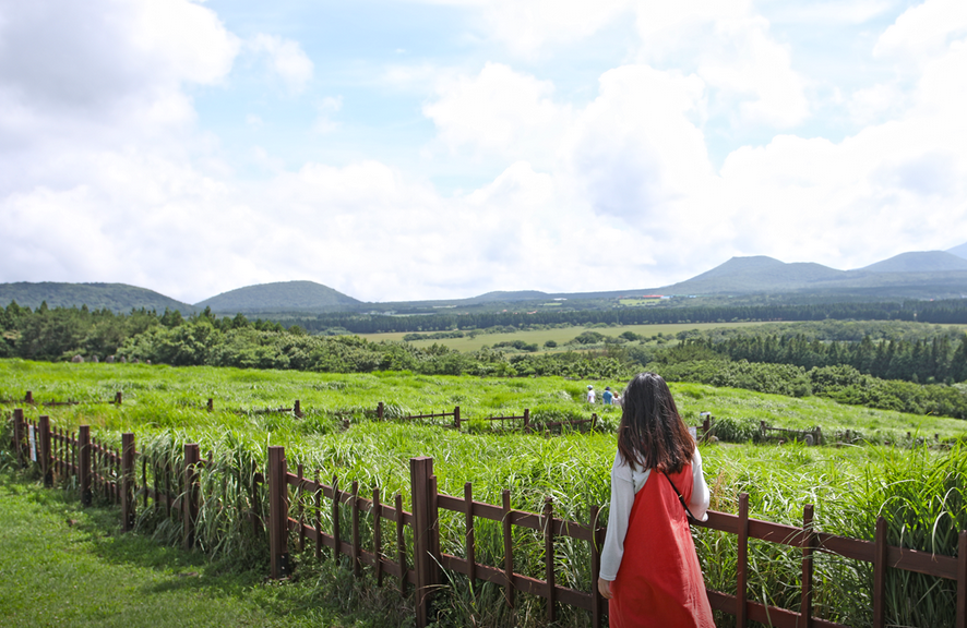 9월 제주도 가볼만한 곳 BEST 10 (할인 꿀팁!)