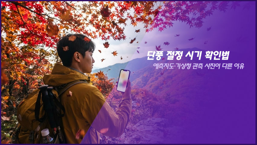 단풍 절정 시기 확인법｜예측지도&middot;기상청 관측 사진이 다른 이유