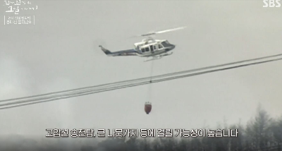 울산 봉대산 불다람쥐