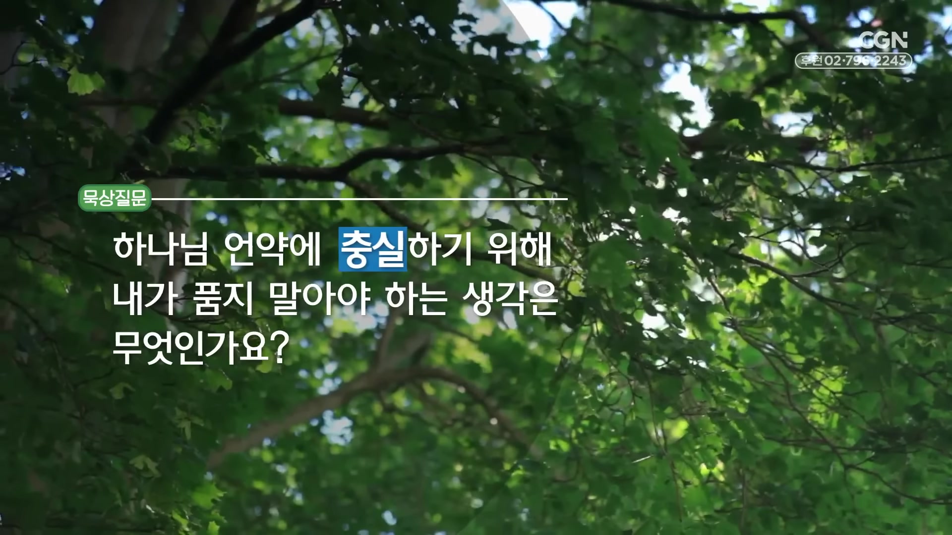 하나님 언약에 충실하기 위해 내가 품지 말아야 하는 생각은 무엇인가요?