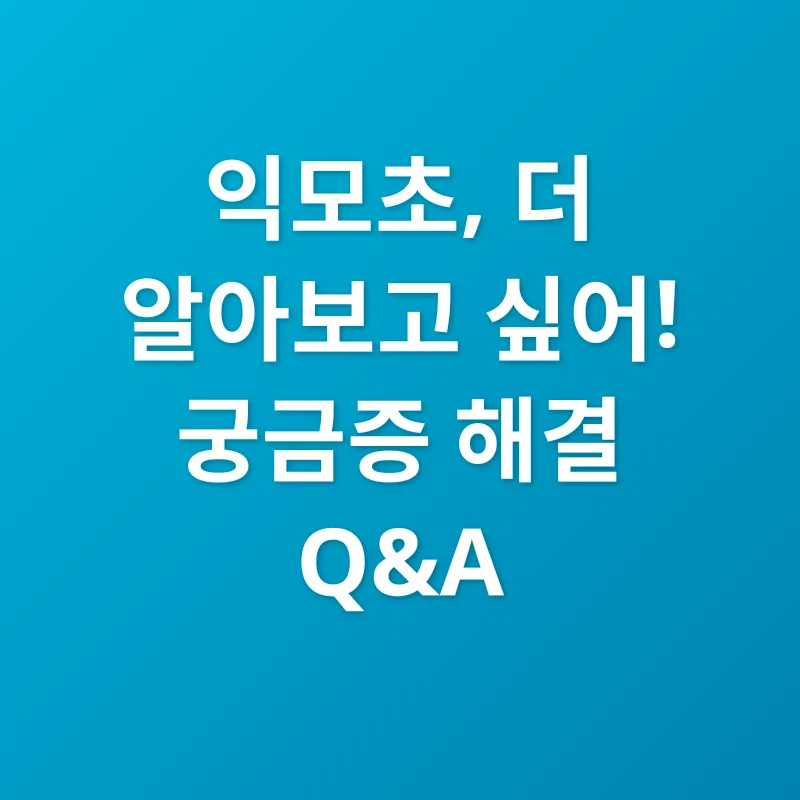 익모초 효능_3