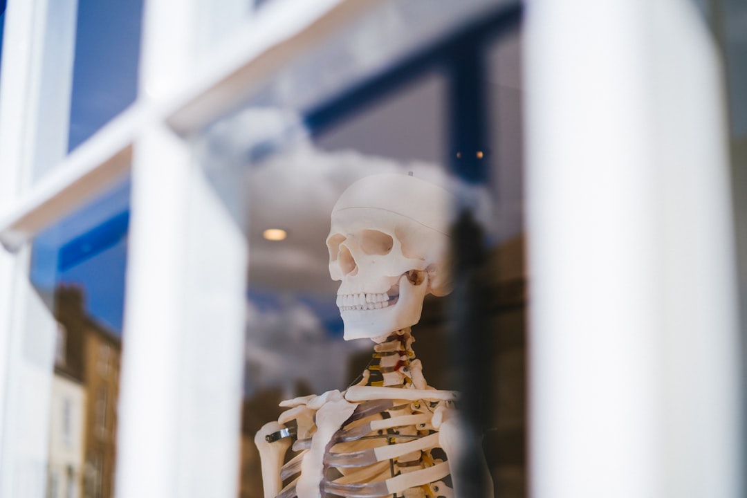 Bone broth