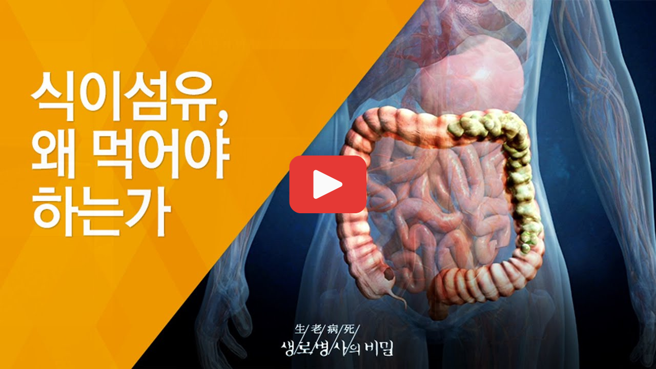 식이섬유 많은 음식 수용성 불용성 과일 섭취 방법