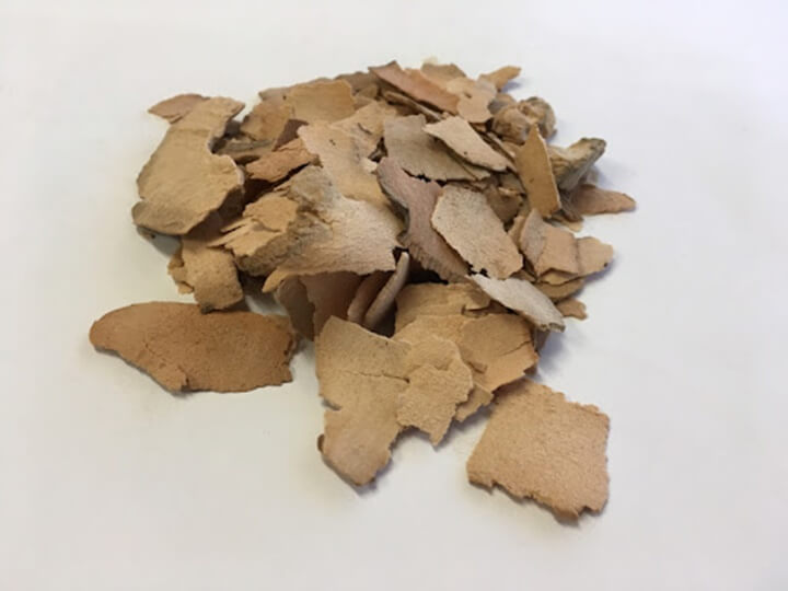 건조한-토복령-사진