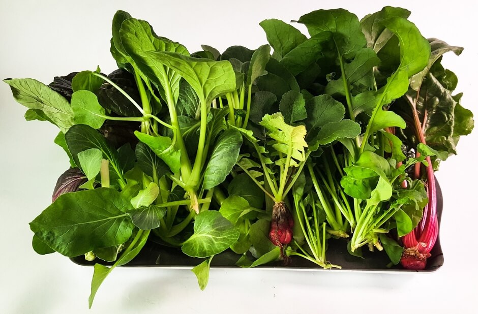 녹색채소의 영양소와 건강효과는?