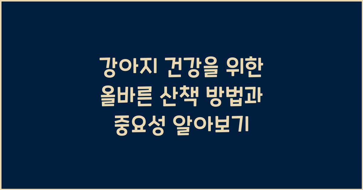강아지 건강을 위한 올바른 산책 방법과 중요성