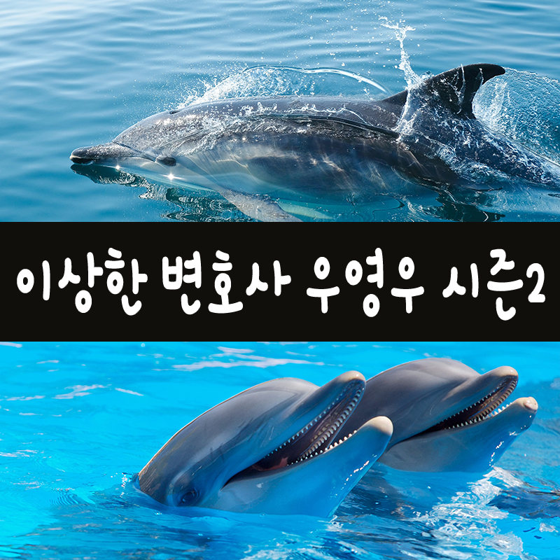 이상한 변호사 우영우 시즌2