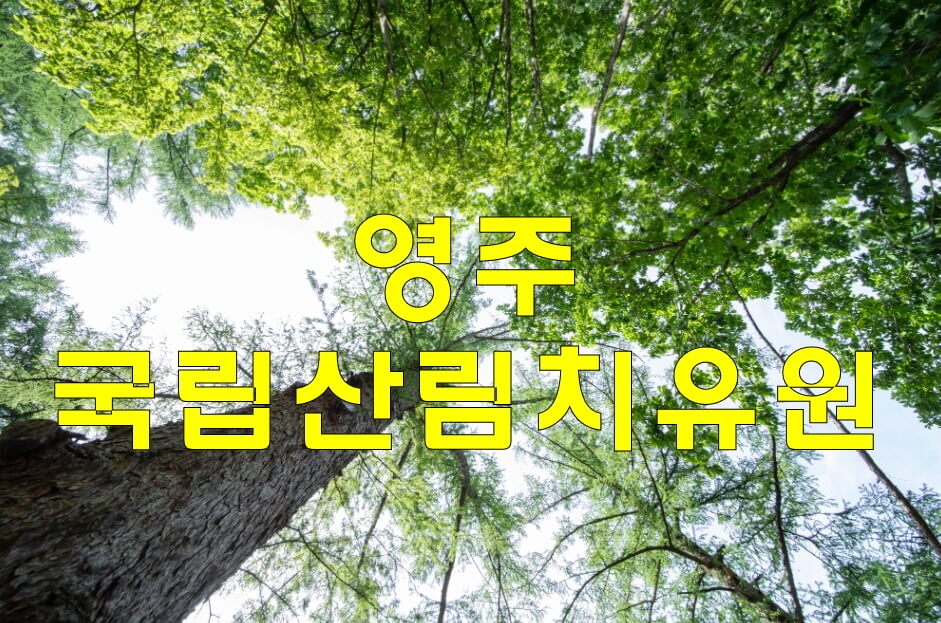 국립산림치유원 예약