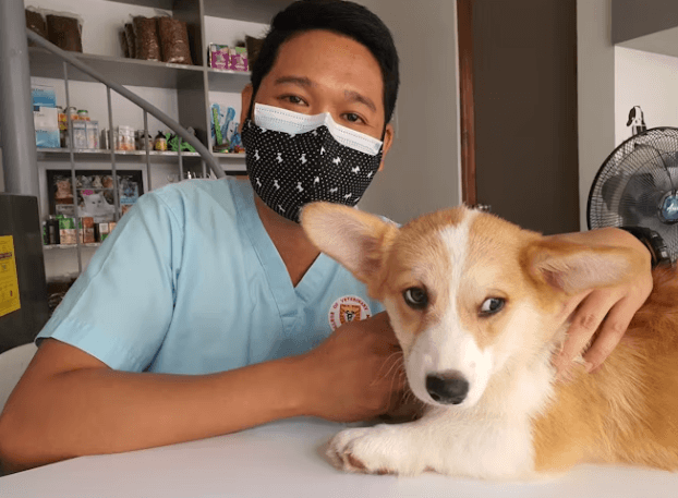 반려동물관리사&#44; 반려동물 전문가 되는 법 총정리