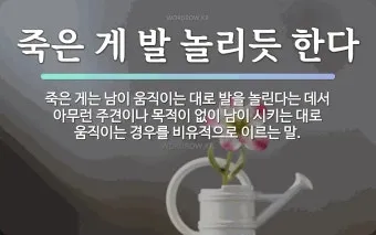 내 인생을 바꿀 속담 10가지 슬기로운 삶의 지혜_18
