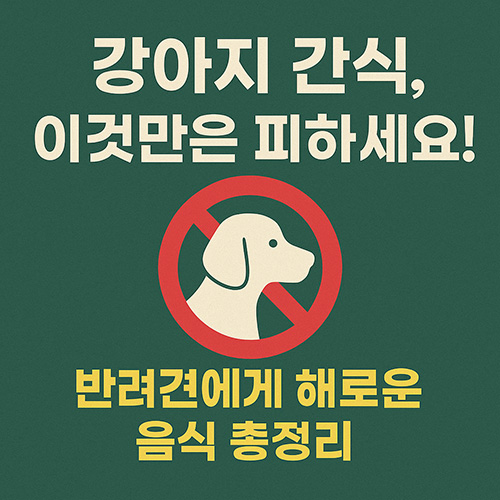 강아지-간식,-이것만은-피하세요!-반려견에게-해로운-음식-총정리