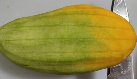 세로로 칼집 낸 망고를 가로로 자르는 모습