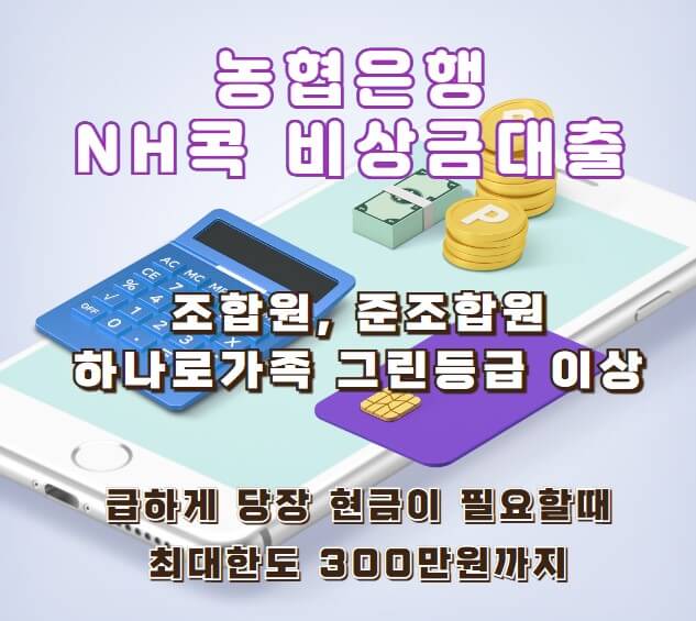 농협 NH콕 비상금 대출