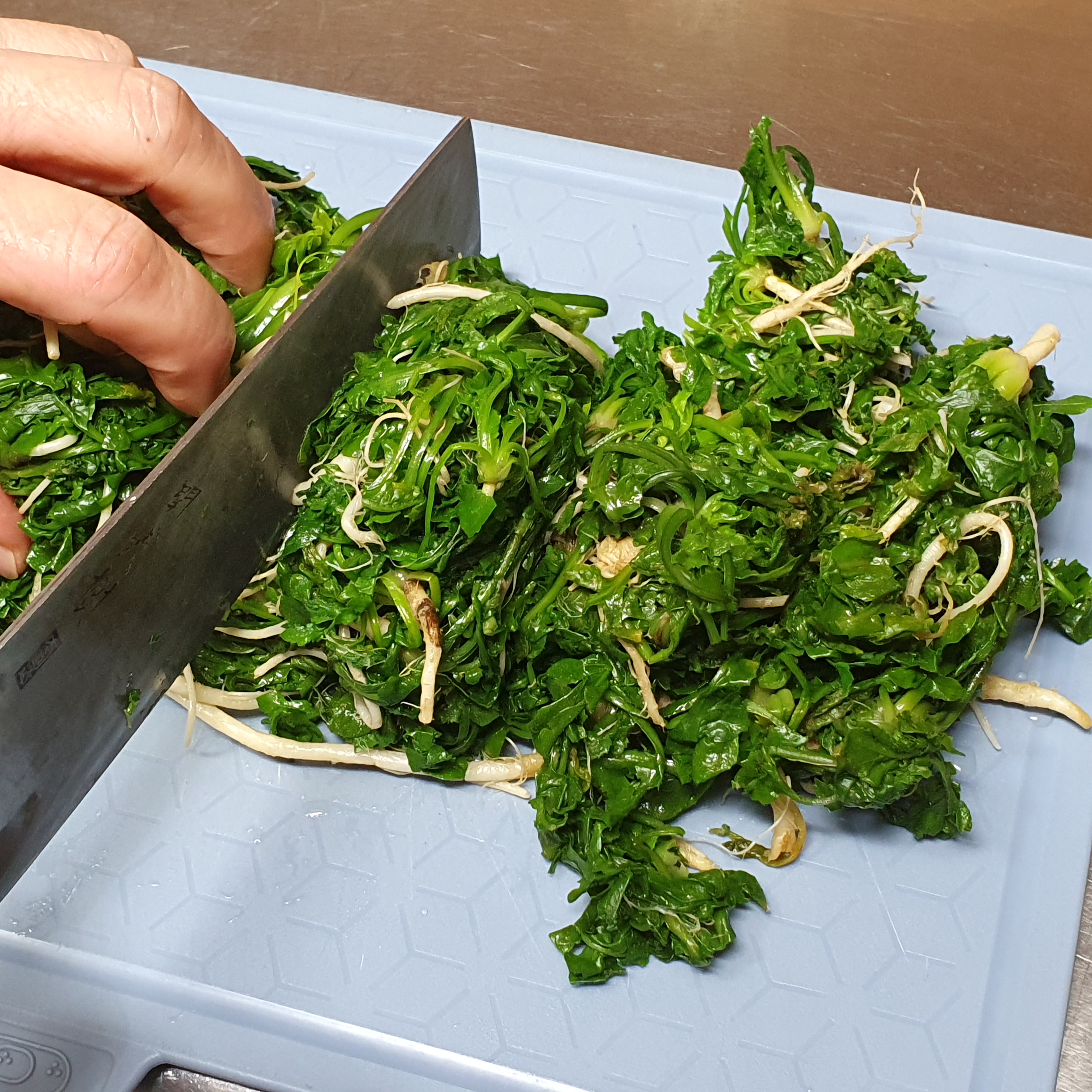 데친 냉이를 4~5cm 간격으로 썰어주는 사진