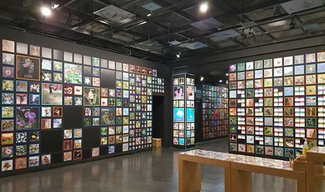 이화여자대학교 자연사박물관