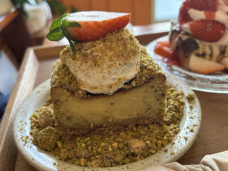 피스타치오-테린느1