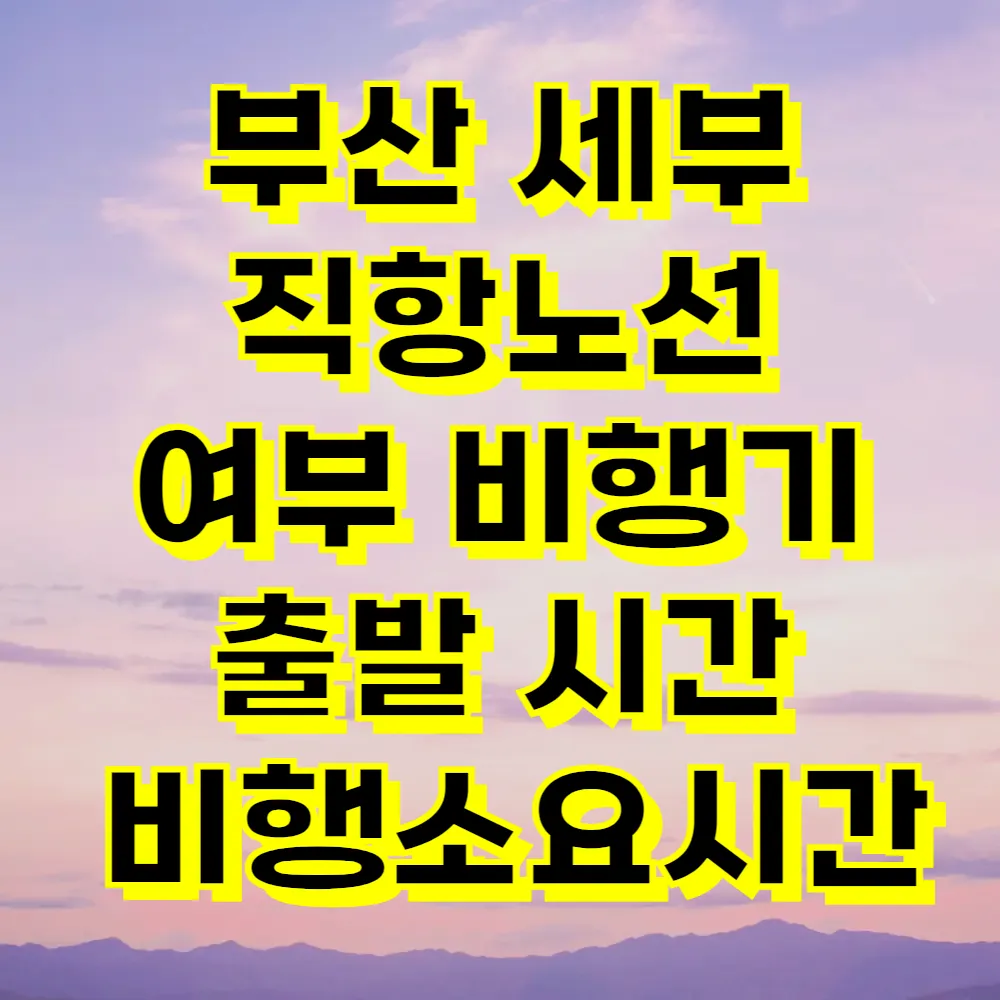 부산 세부 직항노선 여부 비행기 출발 시간 비행소요시간