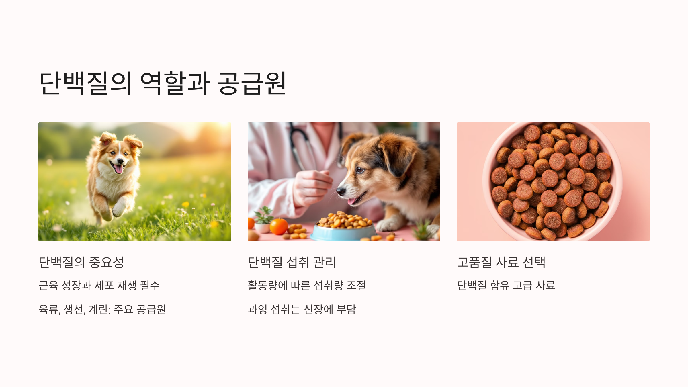 단백질의 역할과 공급원
