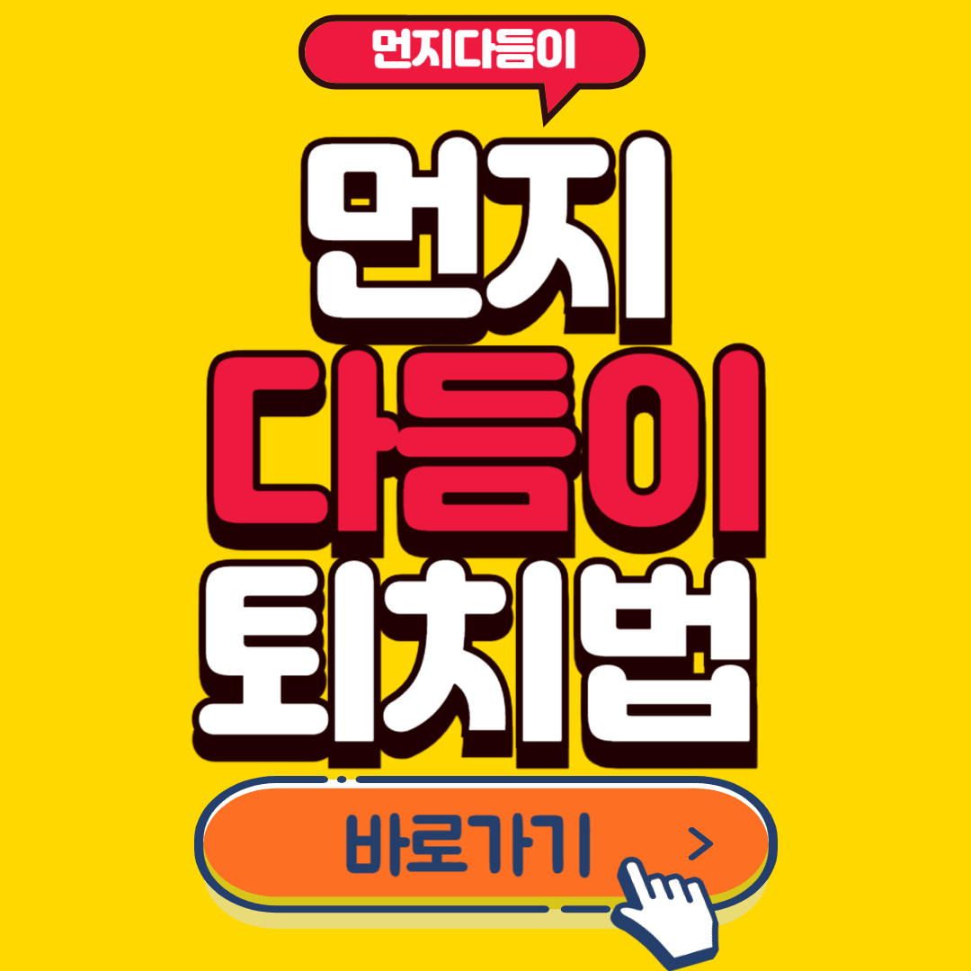 먼지다듬이 벌레