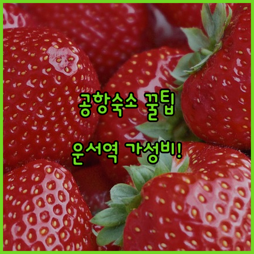 인천공항 호텔 예약 팁과 운서역 근처..